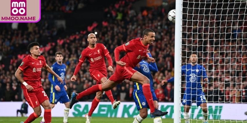 Kết hợp thống kê, quan sát